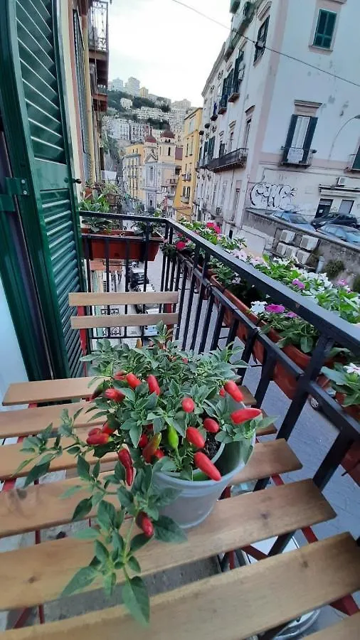 Apartament Palazzetto Di Neubourg Neapol